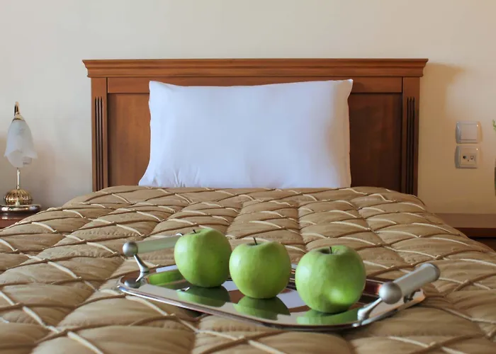 Famissi Eden Hotel Kalampáka